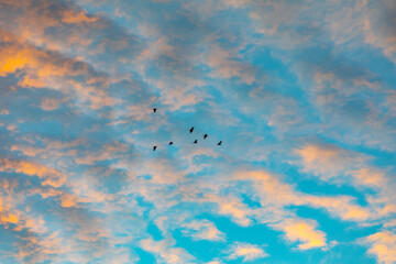 Fototapeta premium Wonderful colorful idyllic surreal sky at dawn