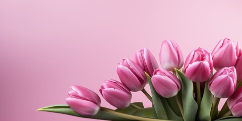 A row of pink tulips lines the bottom edge on a soft pink canvas.