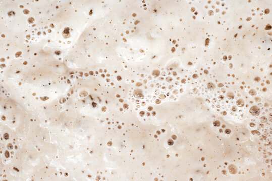 Texture of fermented dough or sourdough with bubbles. Bakery. Dough