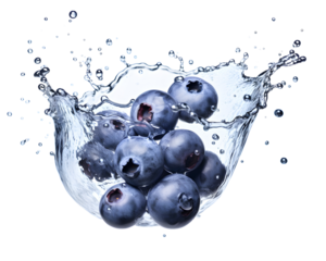 Fresh Blueberries with water splash isolated on transparent background, cut out, png