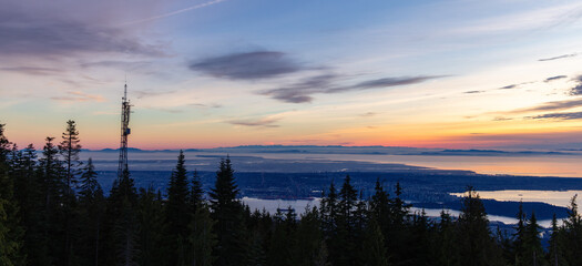 Downtown Vancouver, Trees and West Coast during Sunset.