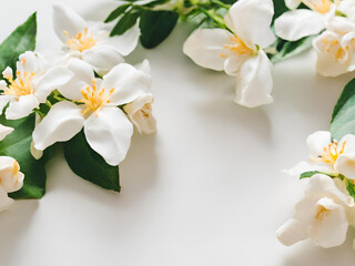 Naklejka na ściany i meble white flowers on white background