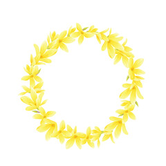 Wreath of forsythia yellow flowers Isolated on white background. Empty place for your text. Vector spring cartoon illustration. Floral round frame.