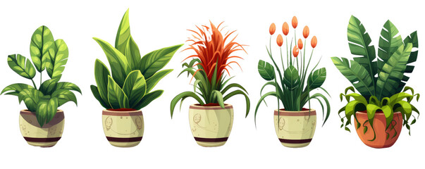 Collection of different plant in a pot isolated on white or transparent background