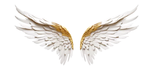 Fotobehang Gold fantasy feather wings - pair of gold angelical wings - isolated transparent PNG background - gold wing © Mr. PNG