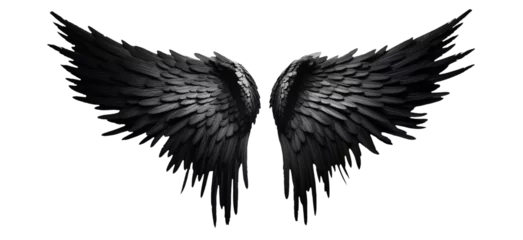 Fotobehang Black fantasy feather wings - pair of black angelical wings - isolated transparent PNG background - black wing © Mr. PNG