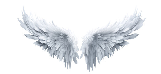 White fantasy feather wings - pair of white angelical wings - isolated transparent PNG background - white wing - obrazy, fototapety, plakaty