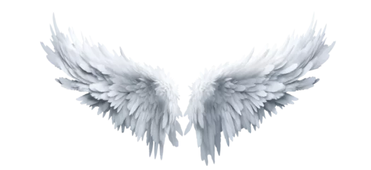 Foto op Canvas White fantasy feather wings - pair of white angelical wings - isolated transparent PNG background - white wing © Mr. PNG
