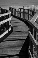 The new wood pathway built in Punta marina and Marina di Ravenna