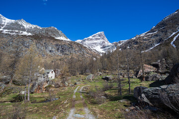 Fototapeta na wymiar paesaggio autunnale all'alpe Devero