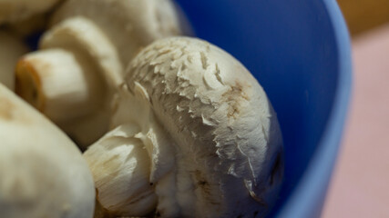 Champignon close-up. Mushroom head