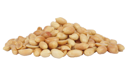 Roasted and salted peanuts pile isolated on transparent background