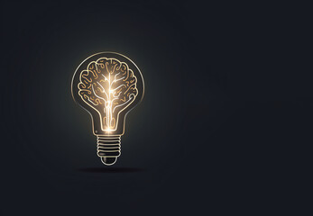 Light bulb on a black background, new technologies and ideas in energy development with space for text 