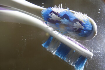 El cepillo de dientes con cerdas de plástico azules y blancas, para la higiene bucal diaria...