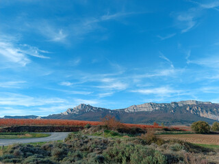 Fototapeta premium autumn in the mountains