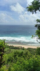 beach with palm trees