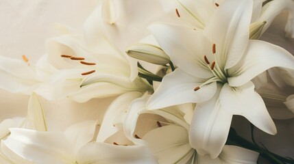 Background of many snow-white lilies. Spring Easter floral design