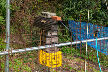 Bee farm in a rural village in Wakayama, Japan.