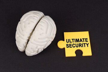 On a black surface lies a brain and a yellow puzzle with the inscription - Ultimate security