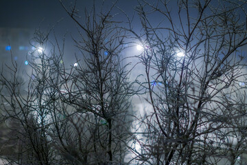 Tree covered with snow against the background of the lights of a winter foggy night city.