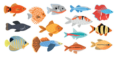 Different aquarium fishes breeds. Little decorative room fishes, barbus, swordfish, neon, cockerel, underwater inhabitants, vector set.eps - obrazy, fototapety, plakaty
