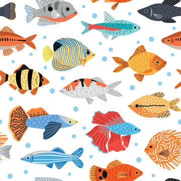 Decorative little fishes. Aquarium underwater inhabitants, difference breeds, colorful floating creatures with fins, vector seamless pattern.eps