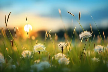 Papier peint photo Chambre de fille Summer sky with morning sunlight and magic bokeh   serene nature and christian faith concept  © Ilja