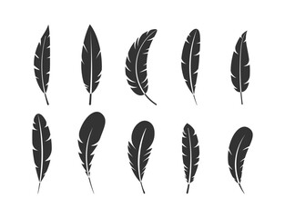 Bird feathers silhouette vector set
