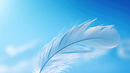  a white feather floating in the air with a blue sky in the backgrounnd of the image in the backgrounnd.