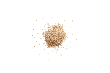 Closeup organic whole raw sesame seeds isolated on a transparent background without shadows from above, top view, png