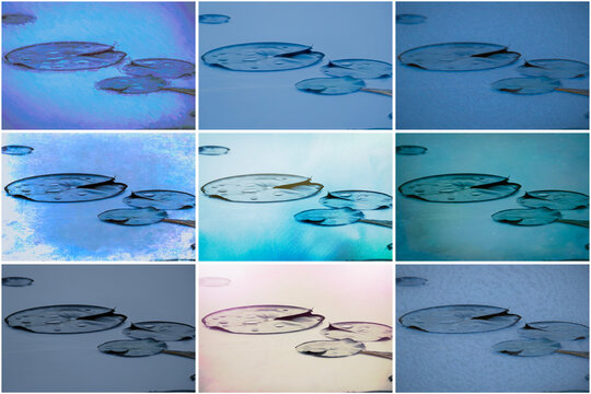 Design collage lily pads blue green in abstract