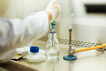 science research at the microbiology laboratory, microbiology