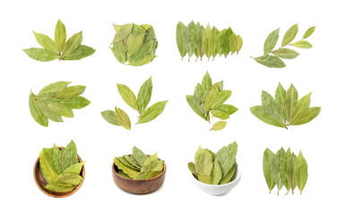 Dry Bay Leaves, Laurel Leaf, Natural Spicy Bayleaf, Fragrant Ingredient, Aromatic Spice - obrazy, fototapety, plakaty