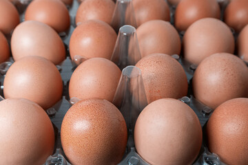 Chicken eggs close up. Opened plastic chicken egg packaging