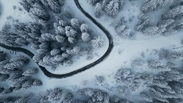 Winter snow road in the middle of pine trees top down aerial view. Snowy landscape from above in the mountains