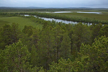 View from Toivoniemi Bird Watching Tower at Kaamanen, Finland, Europe
