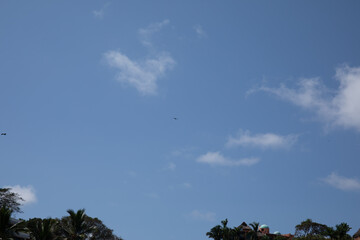 silhouette of birds flying through Sayulita Mexico skies 