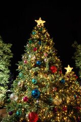 クリスマスツリーのある夜景