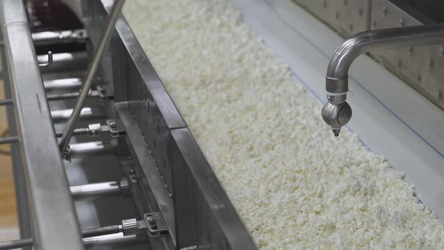 The product is being transported through the conveyor line at production. A lot of small soft cheese pieces are moving on the conveyor at production facility. Automated Conveyor at the Food Production