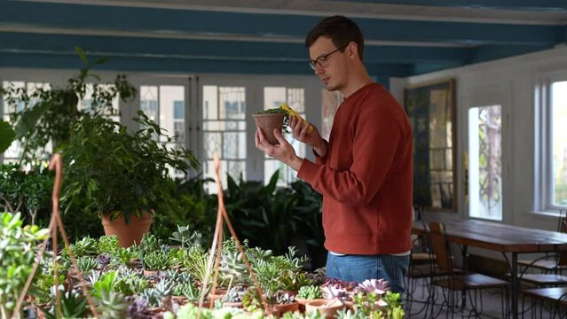Interested man choosing houseplant in cozy private flower shop selling decorative plants. Concentrated guy holding smartphone, making photos, using mobile application for learning names, species 