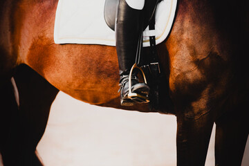 A rider in leather boots sits on a bay horse in the saddle. Equestrian sports and horse riding. Equestrian life. - obrazy, fototapety, plakaty