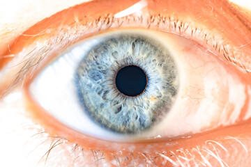 Male Blue Colored Eye With Long Lashes Close Up. Structural Anatomy. Human Iris Macro Detail.