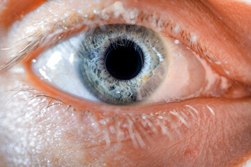 Male Blue Colored Eye With Long Lashes Close Up. Structural Anatomy. Human Iris Macro Detail.