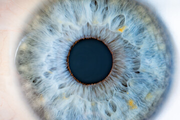 Male Blue Colored Eye With Long Lashes Close Up. Structural Anatomy. Human Iris Super Close Macro...