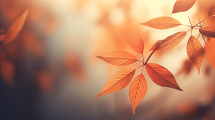 Naklejka na ściany i meble Blurred Autumn Background with Leaves