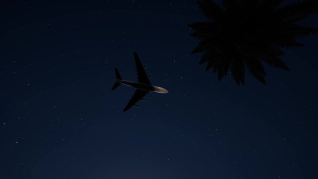 Night plane aircraft starry sky palm leaves