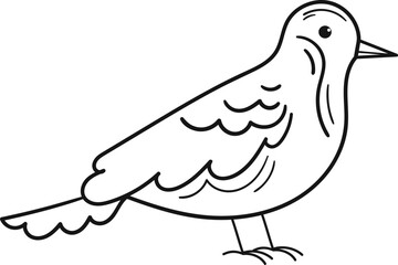 Bird Staying Outline