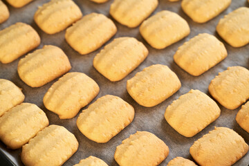 Freshly baked Christmas cookies on a baking sheet