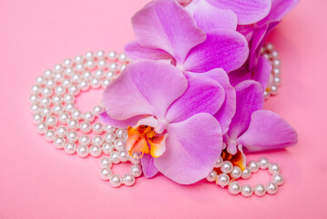 Pearl necklace and purple orchid on pink background
