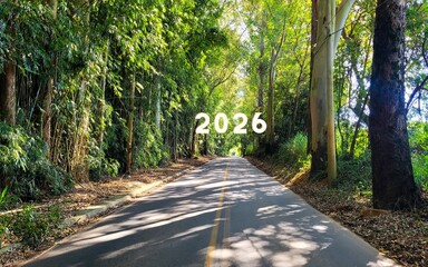 happy new year image, a new year a new hope